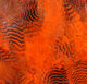 Preview image of product Teal Flank Feathers Orange #271
