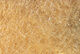 Preview image of product STS Trilobal Dubbin Tan