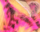 Preview image of product Magnum Tiger Barred Strips #10 Hot Pink Brown Over Peach