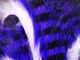 Preview image of product Magnum Tiger Barred Strips #11 Purple Black Over White