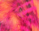 Preview image of product Magnum Tiger Barred Strips #7 Hot Pink Brown Over Shrimp Pink