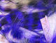 Preview image of product Tiger Barred Rabbit Strips #11 Purple Black Over White