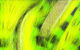 Preview image of product Tiger Barred Rabbit Strips #14 Black Barred Chartreuse Over Fl Yellow