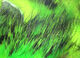 Preview image of product Tiger Barred Rabbit Strips #4 Mahi Green Black Over Chartreuse