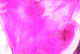 Preview image of product Two Toned Rabbit Strips #18 White Tipped Hot Pink