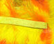 Preview image of product Two Toned Rabbit Strips #8 Hot Orange / Yellow