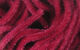 Preview image of product Velvet Chenille Micro #63 Claret