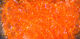 Preview image of product UV Estaz Medium 15mm Amber Orange #182