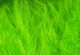 Preview image of product Wooly Bugger Marabou #127 Fl. Chartreuse
