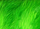 Preview image of product Wooly Bugger Marabou #132 Fl Green