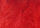 Preview image of product Wooly Bugger Marabou #310 Red