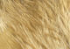 Preview image of product Wooly Bugger Marabou #369 Tan