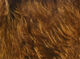 Preview image of product Wooly Bugger Marabou Brown #40