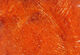 Preview image of product Wire Free Synthetic Fox Brushes #48 Burnt Orange