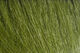 Preview image of product Extra Select Craft Fur #230 Medium Olive