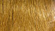 Preview image of product Extra Select Craft Fur #51 Camel Tan