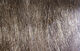 Preview image of product Extra Select Craft Fur #87 Dark Brown