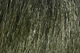 Preview image of product Extra Select Craft Fur #95 Dark Olive