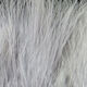 Preview image of product X-Select Marabou #165 Gray Minnow