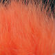 Preview image of product X-Select Marabou #340 Shell Pink