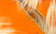 Preview image of product Crosscut Two Tone Rabbit Strips #13 White Tipped Hot Orange