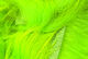 Preview image of product Crosscut Two Tone Rabbit Strips #14 Chartreuse Tipped Green Chartreuse