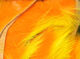 Preview image of product Crosscut Two Tone Rabbit Strips #15 Yellow Tipped Hot Orange