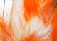 Preview image of product Crosscut Two Tone Rabbit Strips #17 White Tipped Hot Orange