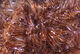 Preview image of product Frizzle Chenille Large 5/8 Inch 15mm #40 UV Brown